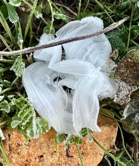 [ENG] Frost Flower (RJ01111405) .